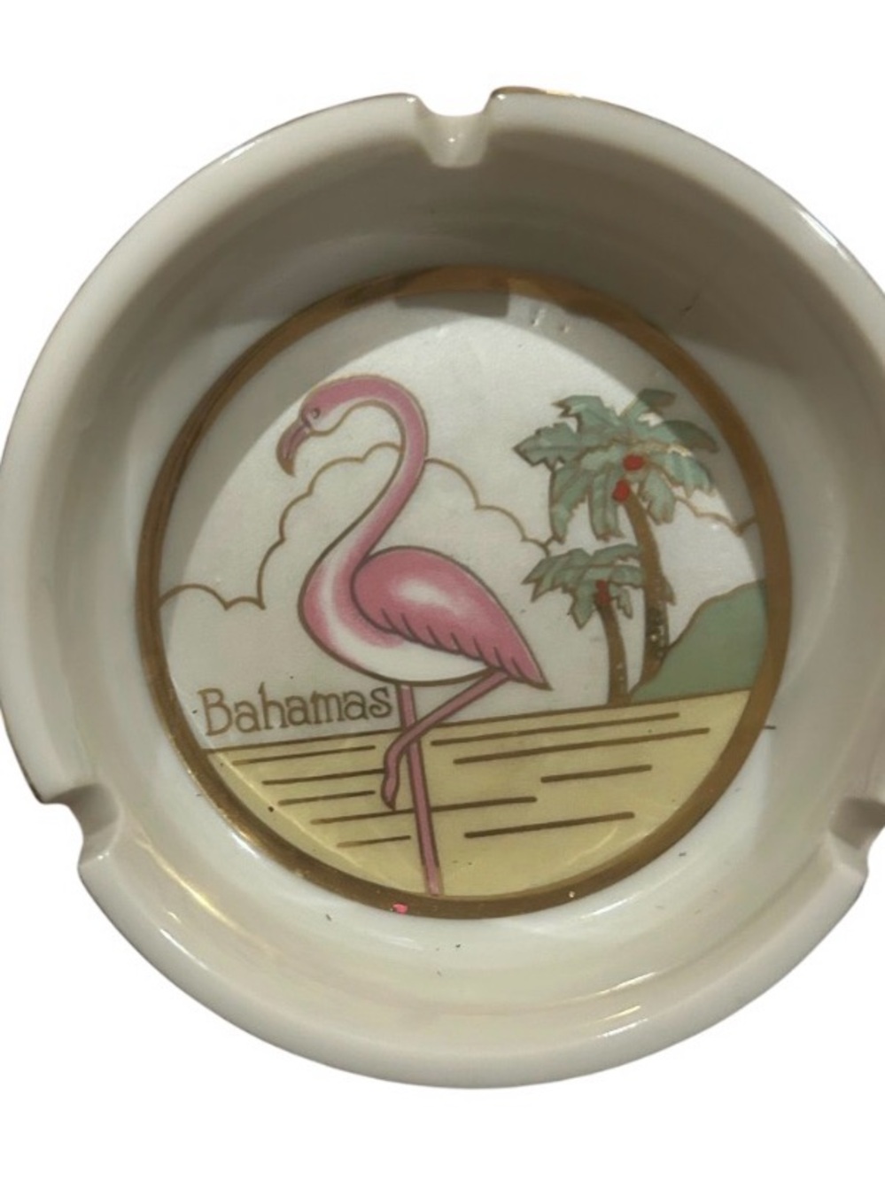 Bahamas Pink Flamingo Decorative Accent Pillow